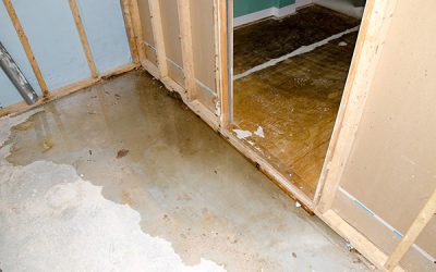 Don’t Rely On The Internet To Fix Your Water Damage