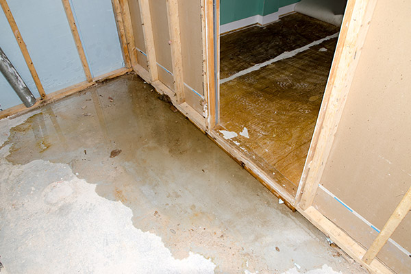 Don’t Rely On The Internet To Fix Your Water Damage